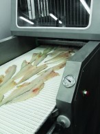 Injektoriai žuviai ANR 68 ir ANR 440 -2