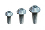 Head bolts 1