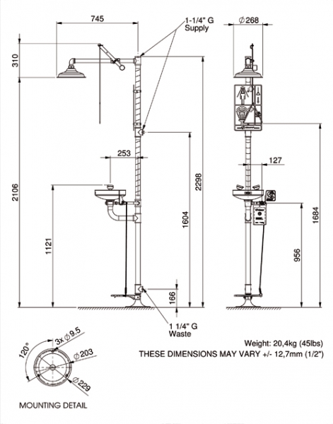 8347 Axion Emergency Shower With Eye Face Wash Station Elega