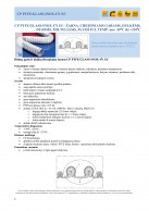 CP PTFE-GLASS-INOX 471 EC duomenys 1