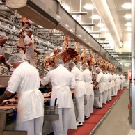 458 SKYSTEP RED kilimėliai maisto pamonei 3