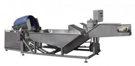 Fish washing machine