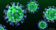 Mers Corona