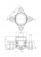 Guolio_lizdo_9001286_eskizas