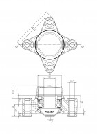 Guolio_lizdo_9001312_eskizas