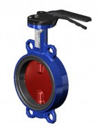 Drugelinė_sklendė_VPI4448-00