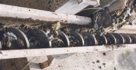 SSC шнековые спиральные транспортеры без вала 2