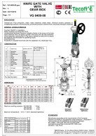 Sklendės_VG6400_08_su_reduktoriumi_duomenys