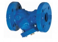 Filtras_koštuvas_F4250_iš_ketaus_flanšinis_ PN25_vaizdas