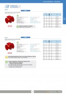 H_tipo_krepšiniai_filtrai_koštuvai_F4240_iš_kaliojo_ketaus_PN16_modeliai