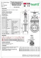 F4_EPDM_dengta_tiesioginio_srauto_sklendė_su_reduktoriumi_VOC4241C_08EP_duomenys