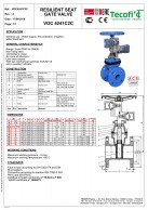 F4_sklendės_VOC4241C2C_EPDM_dengtu_užtvaru_su_2_mechaniniais_ribotuvais_šturvalu_PN25_DN40_400
