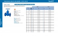 Uždaranti_sklendė_iš_ketaus_V4250_PN25_modeliai