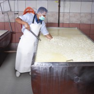 539G Gripwalkeri kilimėlis 6