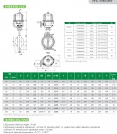 VPG4448-B04 drugelinė sklendė lygiomis ausimis su Bernard elektriniu varikliu 03