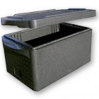 TransPorter Blaue line 30L Thermo insulating foam boxes of medicines