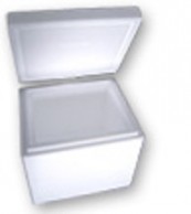 SF75 Thermo insulating foam boxes of medicines