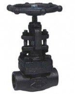 RAS5843NPT  Privirinto gaubto silfoninė sklendės