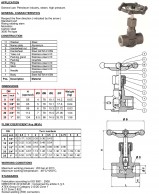 RAP5883SW Kaltinės adatinės sklendės-konstrukcija