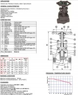 RAS5833NPT Varžtais tvirtinamo gaubto silfoninė sklendės konstrujcija