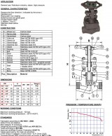 RAS5833BSP Varžtais tvirtinamo gaubto silfoninė sklendės-konstrukcija