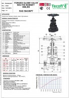 RAS5843INPT Privirinto gaubto silfoninė sklendė-konstrukcija