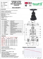 RAS5863NPT Privirinamo gaubto silfoninė sklendė-konstrukcija