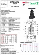 RAS5843BSP Varžtais tvirtinamo gaubto silfoninės sklendės konstrukcika