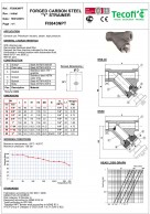 FI5843NPT  Y tipo A105 plieno  NPT  koštuvas-konstrukcija