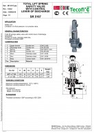 SR5167 Plieninis apsauginis vožtuvas srieginiais galais su spyruokle, PN40-duomenys