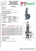 SR5267 Plieninis flanšinis apsauginis vožtuvas su spyruokle, PN40-duomenys