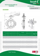 VP4649A-02PTFE Drugelinė sklendė kaliojo ketaus korpusu surankena, su ausimis, PN16-vaizdas