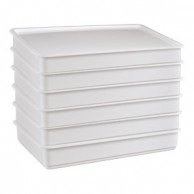 Pizza Dough - thermo box of pizza dough