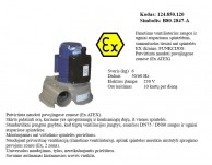 Ant_spintos_montuojamas_ATEX _ventiliatorius_ 124_850_120