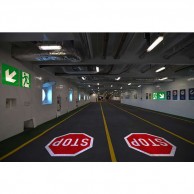 Pramoninis išorinis projektorius LED 100 W, objektyvas 9 laipsnių, IP65-2