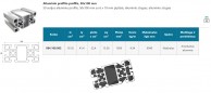 10BH 50x100 mm aliuminio profilis su 6x10 mm atvirais grioveliais 02