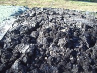 6 control sludge [1] (1)