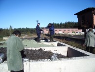 Sludge treatment options