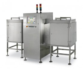 X-Ray Inspection, Models C300-800 Large Conveyors System