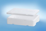 Termo box FR 50