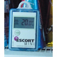 Termoregistratorius Escort Mini