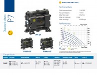 DUOTEK ATEX pump P7 data