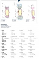 Pinch Valves VM components