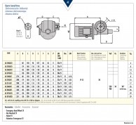 Electric Swivel Drive AE data