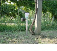 Tensiometer to determine the soil moisture 46903