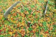 PSS 700-2700 Скоростные мешалки для различных продуктов-перемешивание горошка
