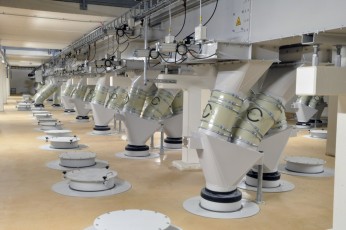 Bucket elevators, conveyors, piping system of transportation